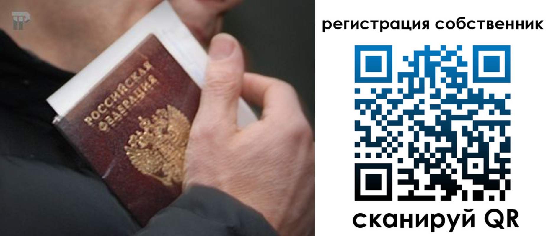 временная регистрация для всех в Светлограде